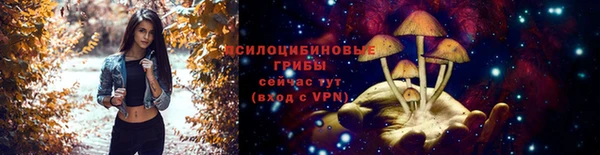 2c-b Иннополис