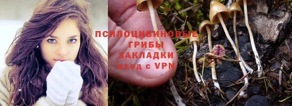 круглые Инсар