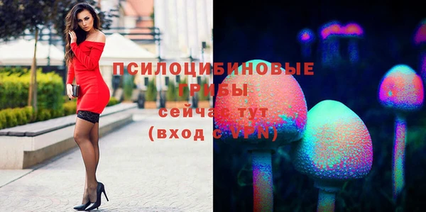 2c-b Иннополис