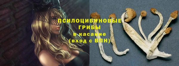 2c-b Иннополис