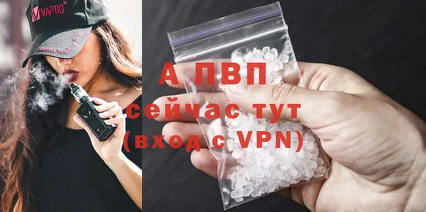прущие крисы Инта
