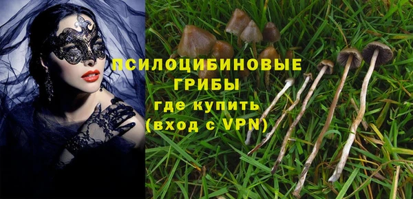 прущие крисы Инта